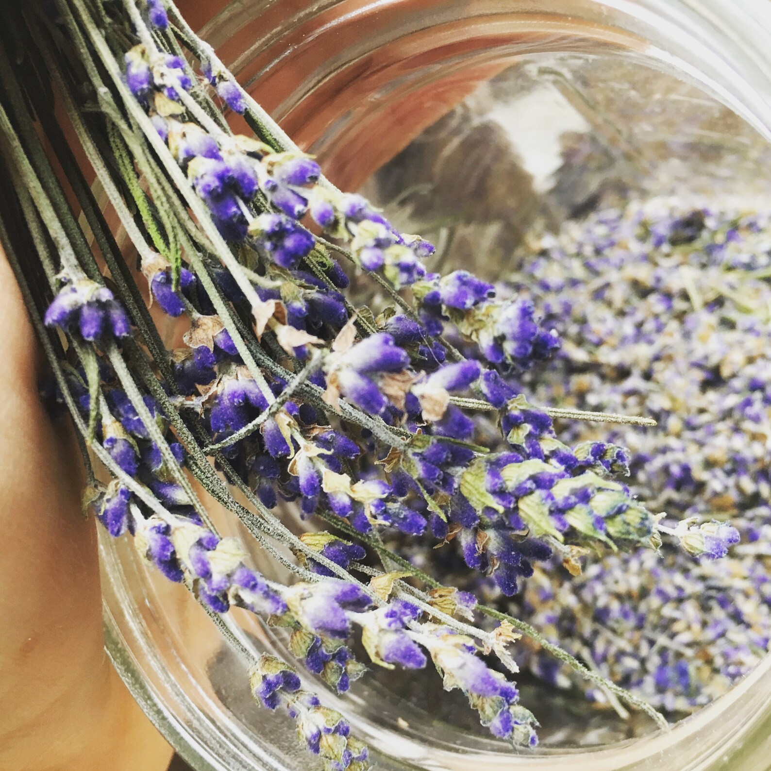 Lavender Gift Set - Image 6